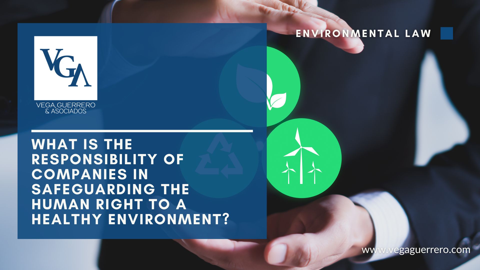 Read more about the article What is the responsibility of companies in safeguarding the human right to a healthy environment?