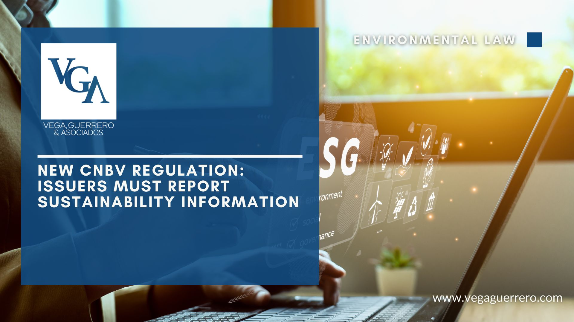 Read more about the article New CNBV Regulation: Issuers Must Report Sustainability Information